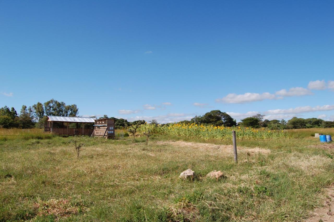 Mark'S Farm & Ecolodge Kalenga Exterior photo