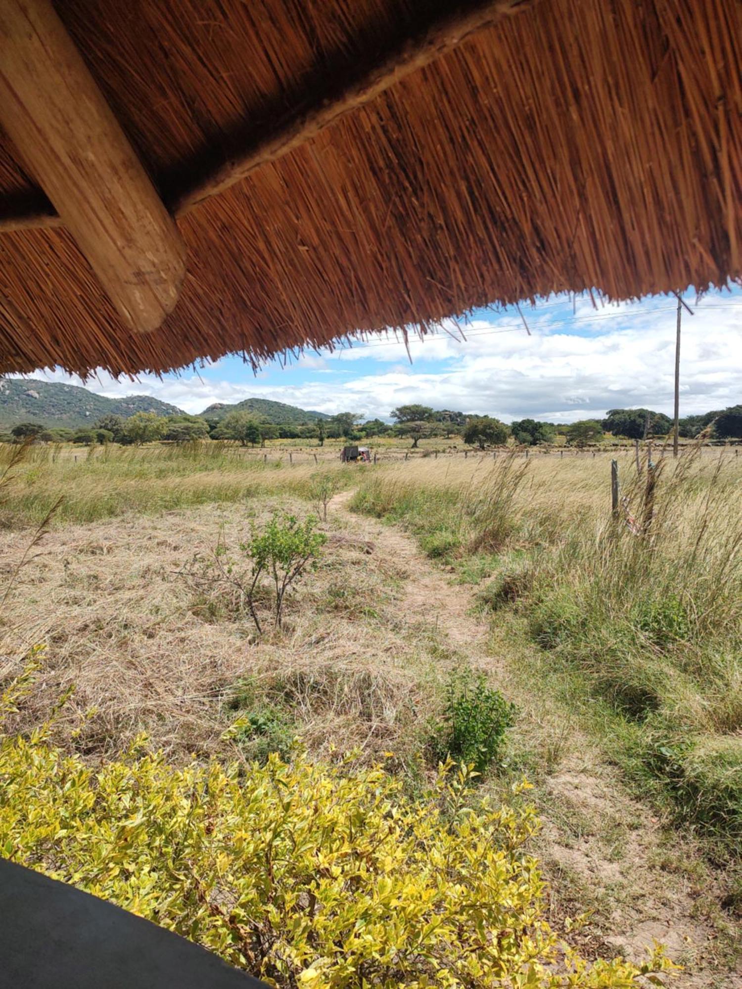 Mark'S Farm & Ecolodge Kalenga Exterior photo